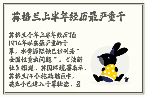 m豆换母闹元宵猜灯谜苏语棠